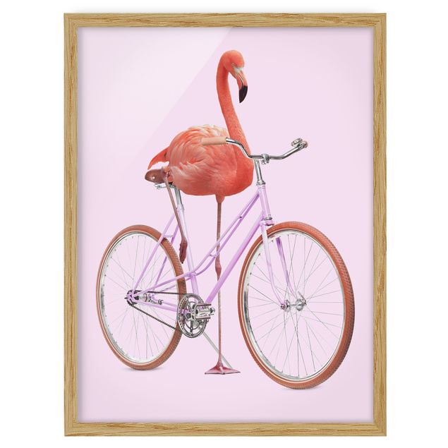 Billeder sport Flamingo With Bicycle