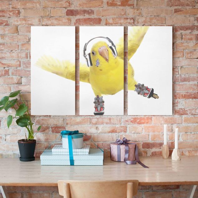 Billeder på lærred fugle Skate Parakeet