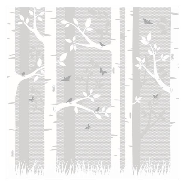 Fototapet grå Birch Forest With Butterflies And Birds