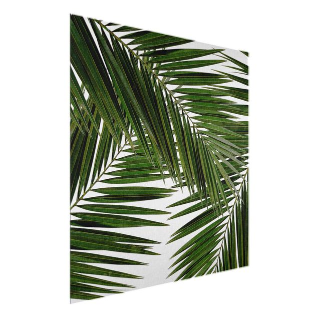 Glasbilleder blomster View Through Green Palm Leaves