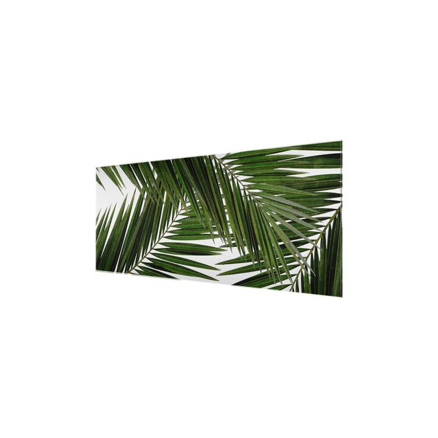Billeder blomster View Through Green Palm Leaves