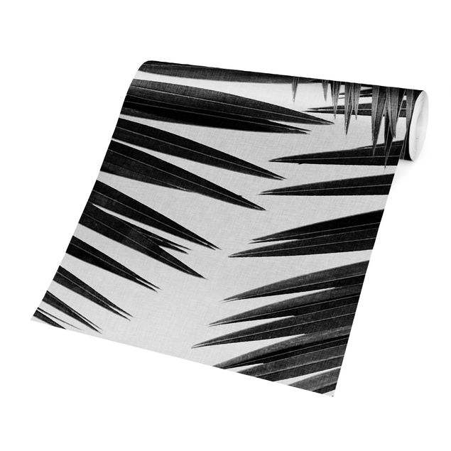 Tapet View Over Palm Leaves Black And White