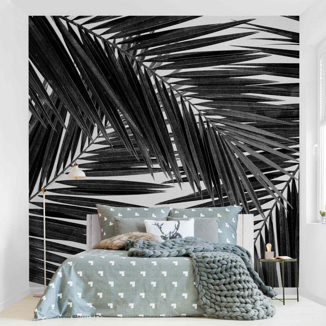 Fototapet sort og hvid View Through Palm Leaves Black And White