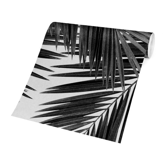 Tapet View Through Palm Leaves Black And White