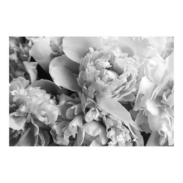 Tapet Blossoming Peonies Black And White