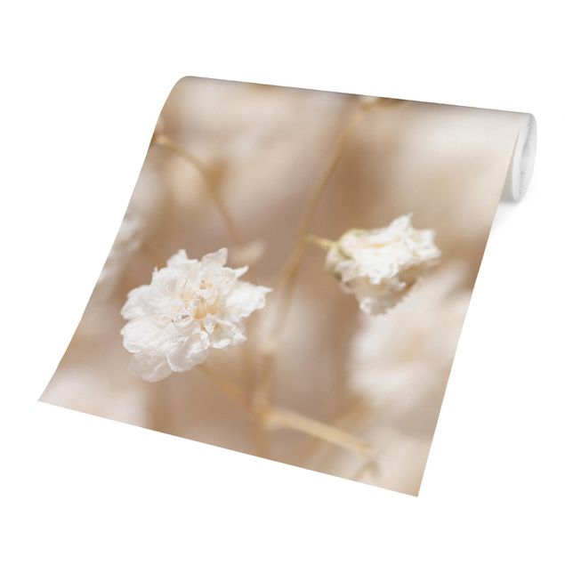 Tapet beige Beautiful Flowers In Cream Colour