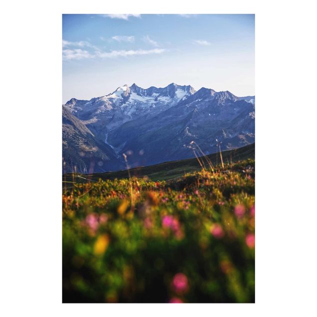 Billeder landskaber Flowering Meadow In The Mountains
