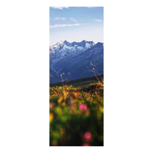 Billeder landskaber Flowering Meadow In The Mountains