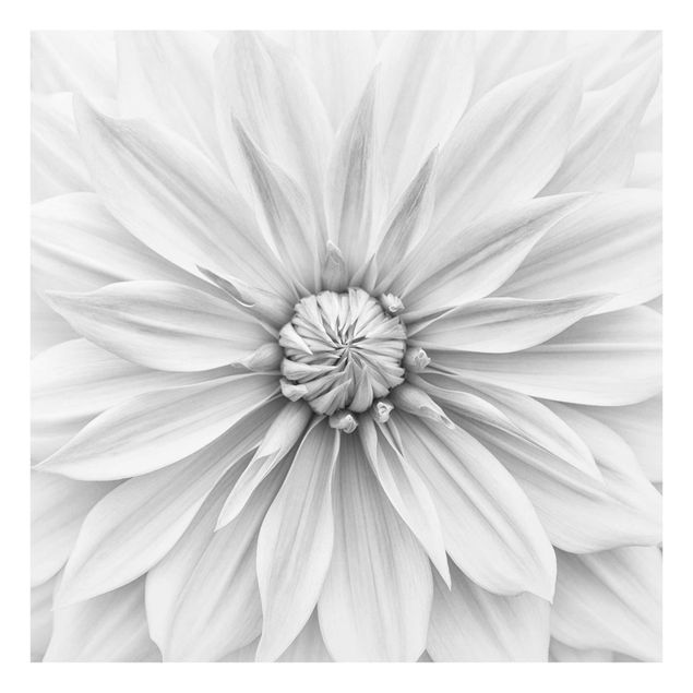 Billeder sort og hvid Botanical Blossom In White
