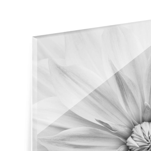 Glas magnettavla Botanical Blossom In White