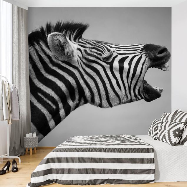 Fototapet zebraer Roaring Zebra ll