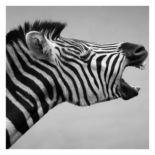Tapet Roaring Zebra ll