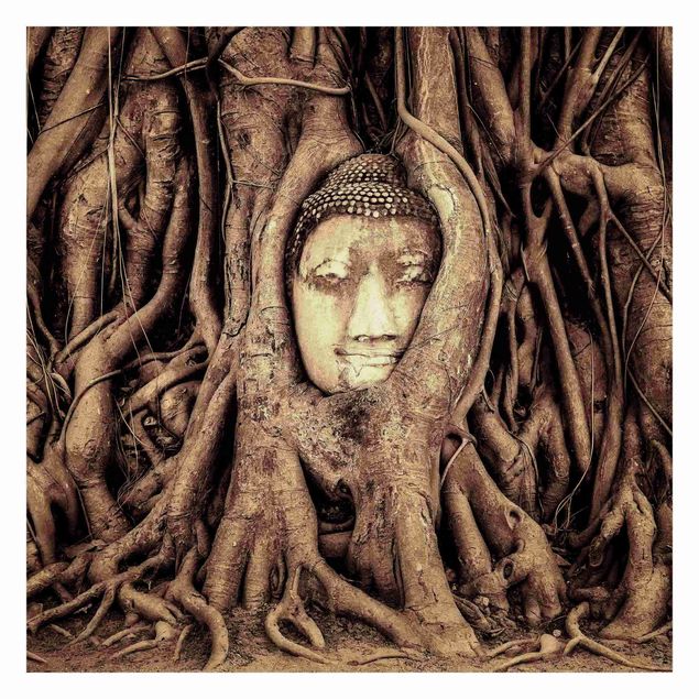 Tapet Buddha In Ayutthaya Lined From Tree Roots In Brown