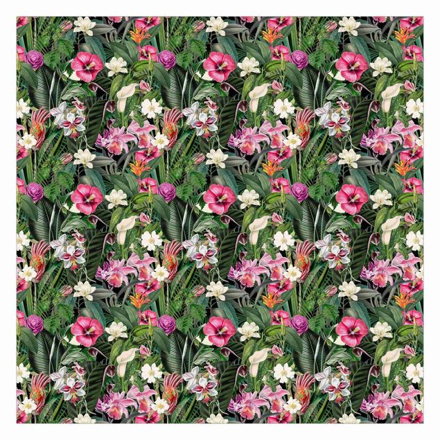Billeder Andrea Haase Colourful Tropical Flowers Collage