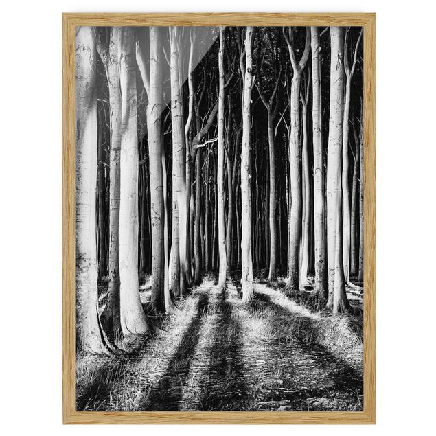 Indrammede plakater sort og hvid Spooky Forest