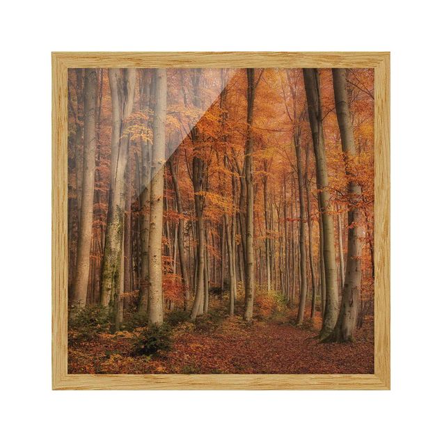Indrammede plakater landskaber Autumn Stroll