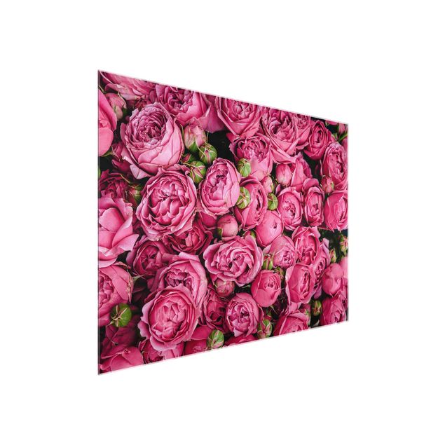 Glasbilleder blomster Pink Peonies