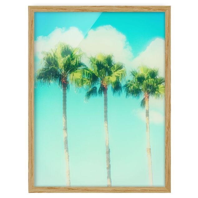 Billeder blomster Palm Trees Against Blue Sky