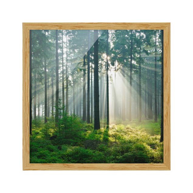 Indrammede plakater landskaber Enlightened Forest