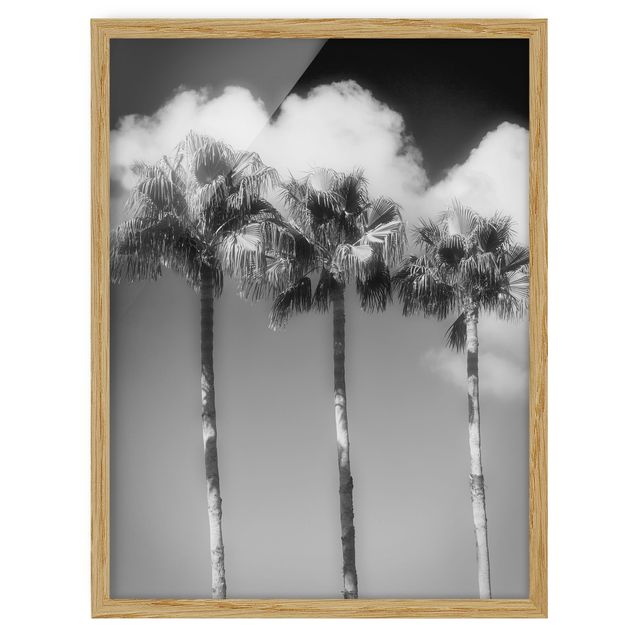 Indrammede plakater sort og hvid Palm Trees Against The Sky Black And White