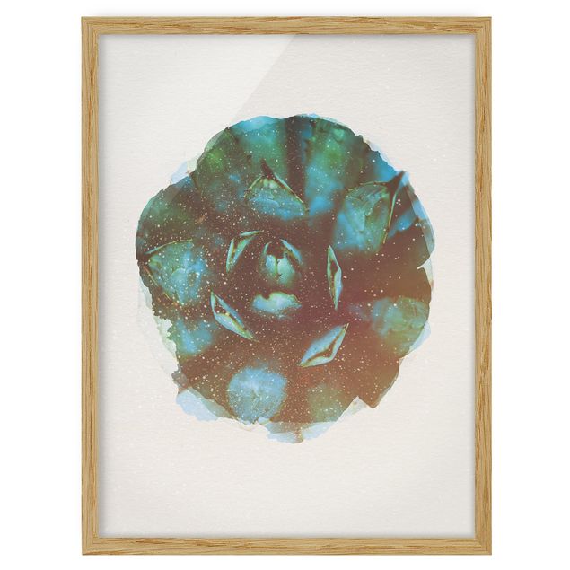 Billeder blomster Water Colours - Blue Agave