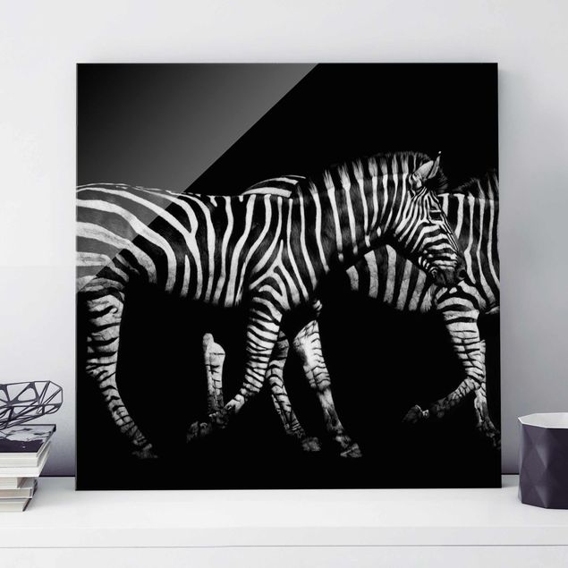 Billeder zebraer Zebra In The Dark