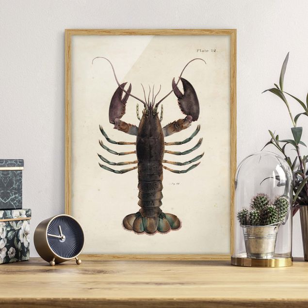 køkken dekorationer Vintage Illustration Lobster