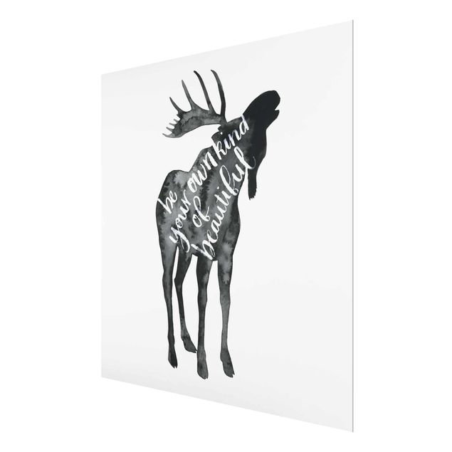 Glas magnettavla Animals With Wisdom - Elk