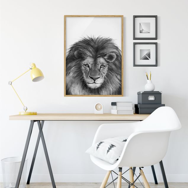 Indrammede plakater sort og hvid Illustration Lion Monochrome Painting