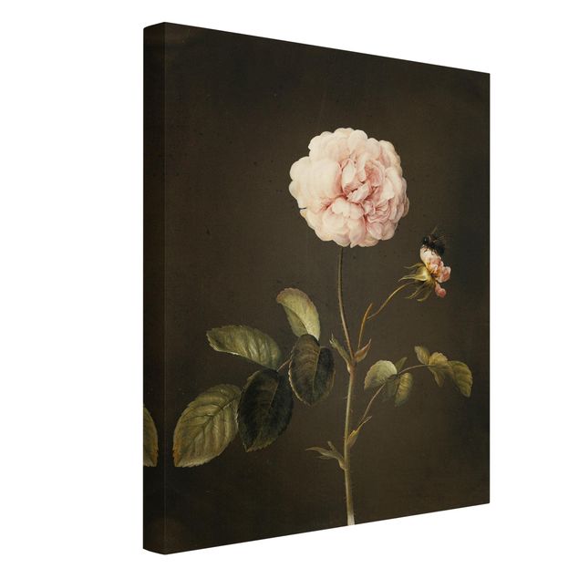 Billeder på lærred blomster Barbara Regina Dietzsch - French Rose With Bumblbee