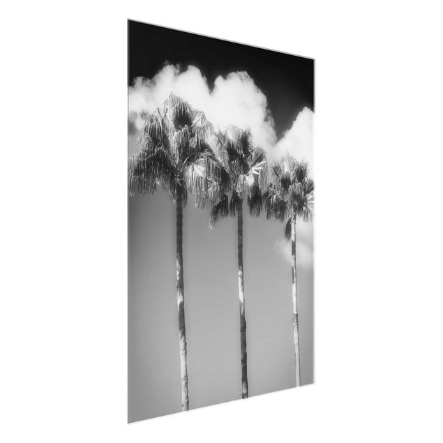 Glasbilleder blomster Palm Trees Against The Sky Black And White
