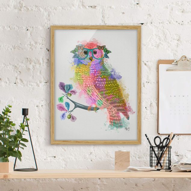 Indrammede plakater dyr Rainbow Splash Owl