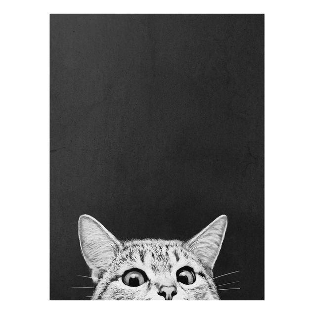 Glasbilleder sort og hvid Illustration Cat Black And White Drawing