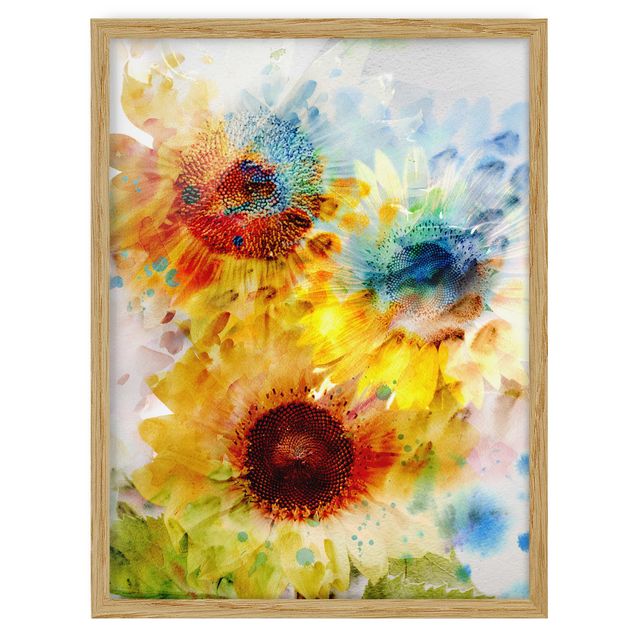 Billeder blomster Watercolour Flowers Sunflowers