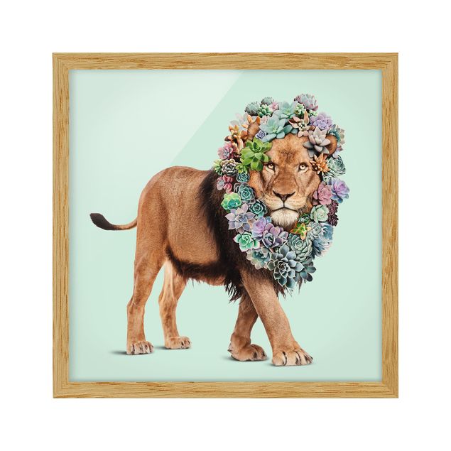 Indrammede plakater blomster Lion With Succulents