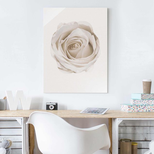 køkken dekorationer WaterColours - Pretty White Rose