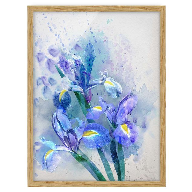 Billeder blomster Watercolour Flowers Iris