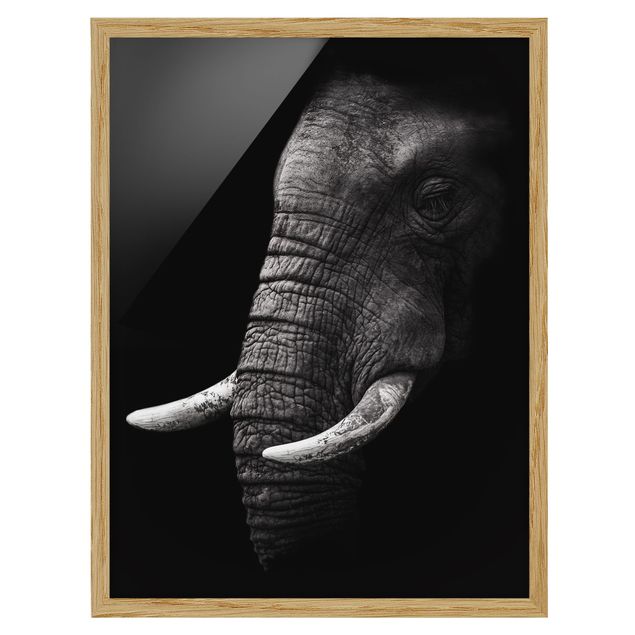 Indrammede plakater sort og hvid Dark Elephant Portrait