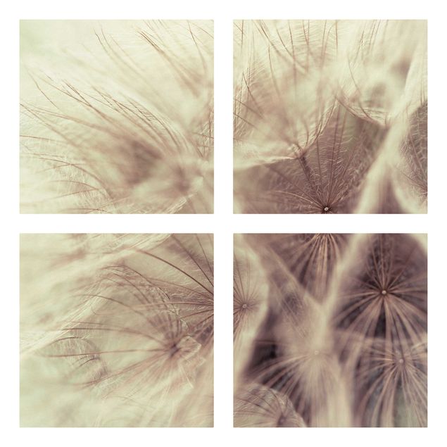 Billeder på lærred bjerge Detailed Dandelion Macro Shot With Vintage Blur Effect