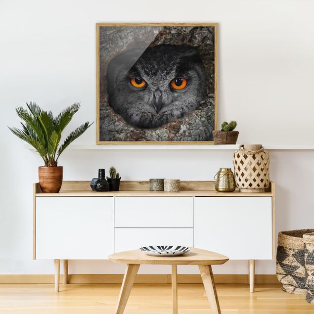 Indrammede plakater abstrakt Watching Owl