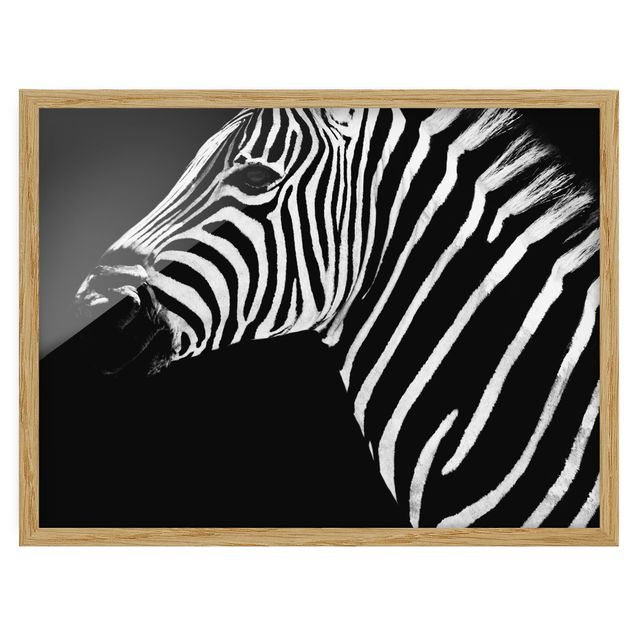 Indrammede plakater abstrakt Zebra Safari Art
