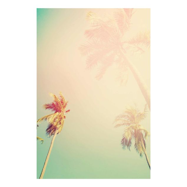 Glasbilleder blomster Tropical Plants Palm Trees At Sunset IIl