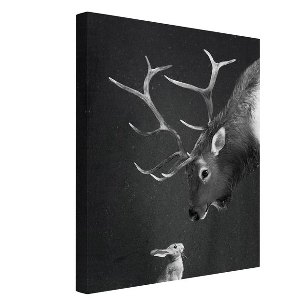 Billeder hjorte Illustration Deer And Rabbit Black And White Drawing