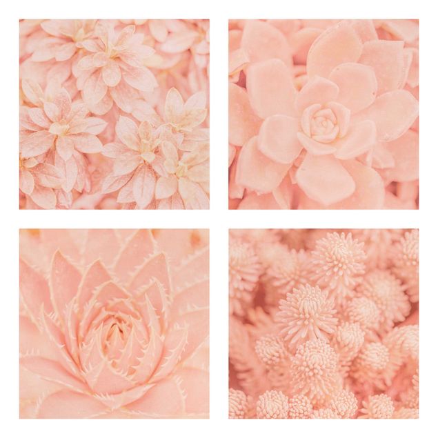 Billeder blomster Pink Flower Magic
