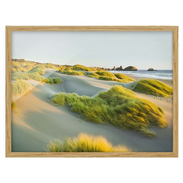 Billeder landskaber Dunes And Grasses At The Sea