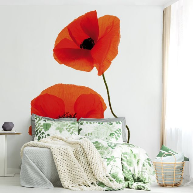 Tapet valmuer Charming Poppies