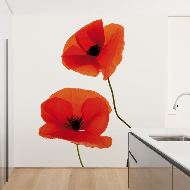 Tapet blomster Charming Poppies