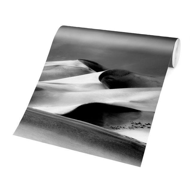 Sort hvid tapet Colorado Dunes Black And White
