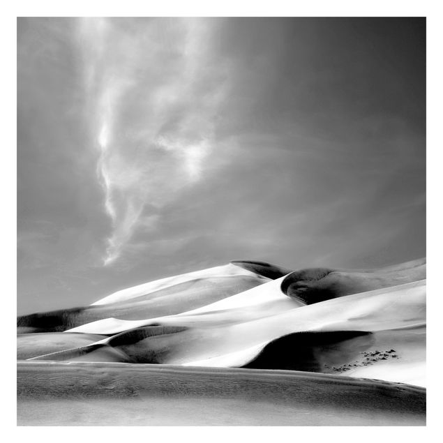 Fototapet landskaber Colorado Dunes Black And White