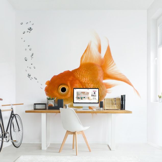 Moderne tapet Colourful Fish